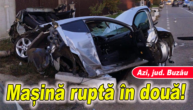 d8b81d4f074376115a9ced338743a857-1