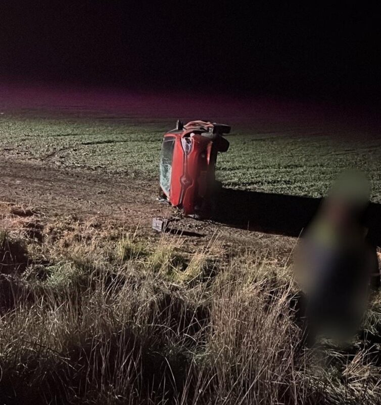 43f6d6bffe7044e5a9f627dc0f98681a-1