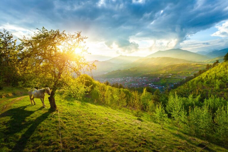 56284aba4b35ab7bd0808186f77b28d3