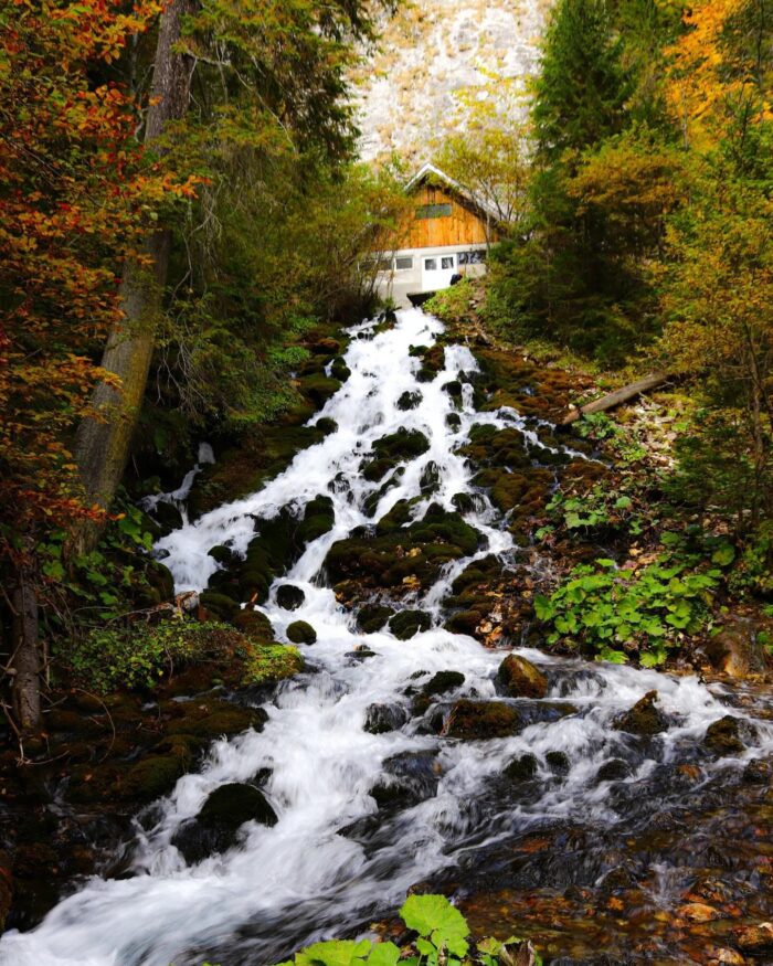 61b56a196438601352d4a320d4417343-1