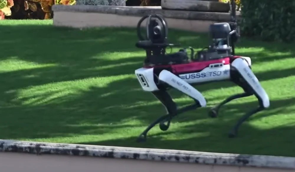 b77252e5820505990729e8fb99bf3ef6-1