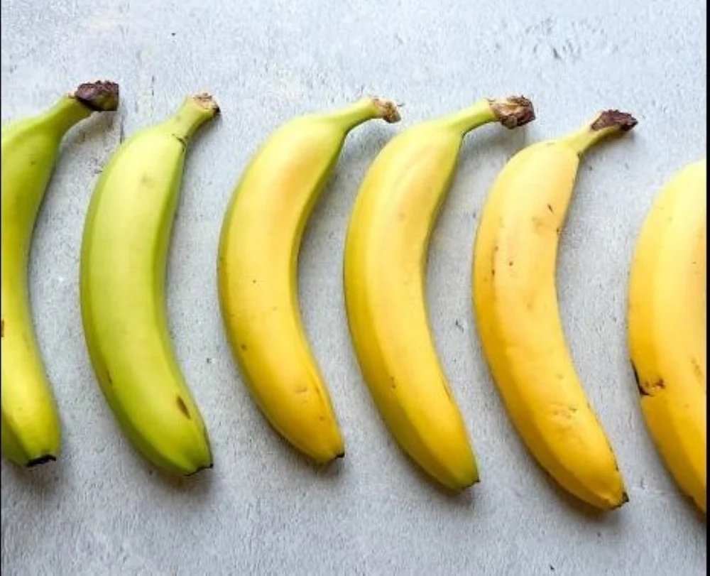 c92a78dc7268c3d53c35e52826ea974e