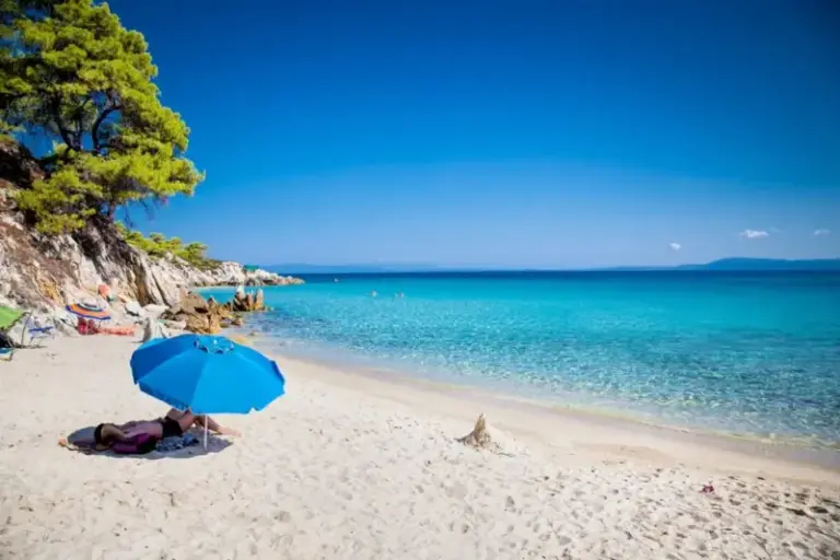 51c305985dcc58706118831567e8b0e1