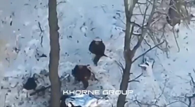 98bc6df36b7e893a81f3eb84e8821b4e