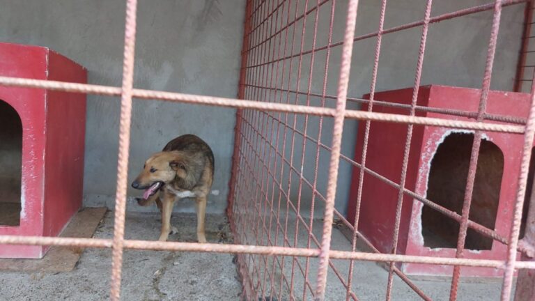 139eb8446da930c1bad3a064a28877bb-2