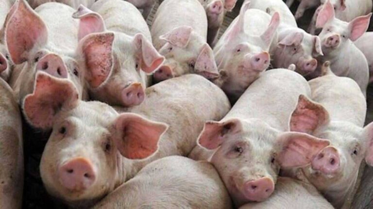 0b662e6fc19c4f7034ac661a2f0932fe