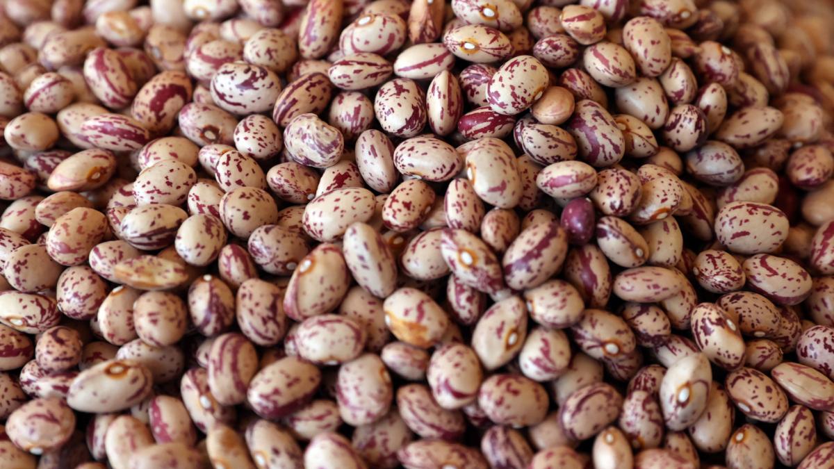 12c7d21007bc59fab8ebafb44d034d9f