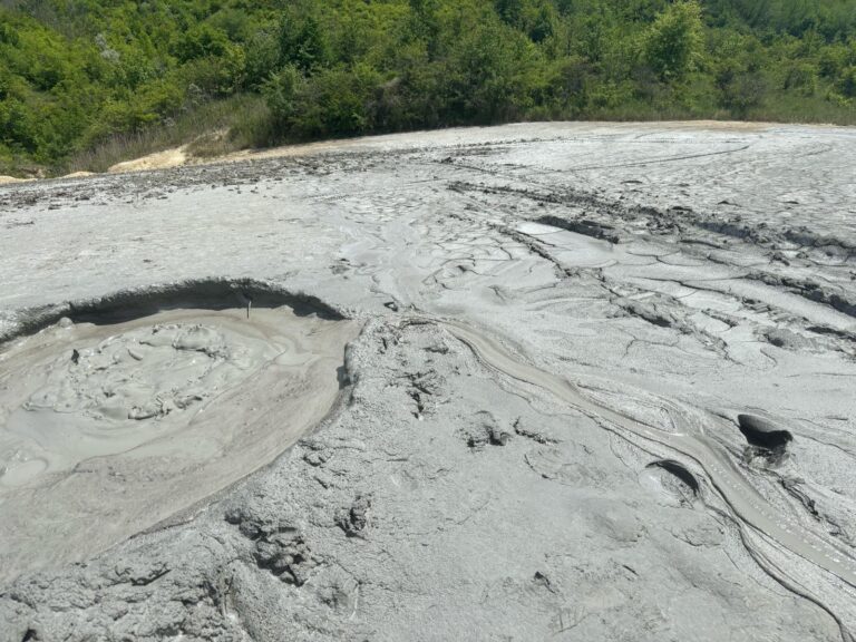 1989fb9bf7da55e8a16e52a22f1e7b9a-1