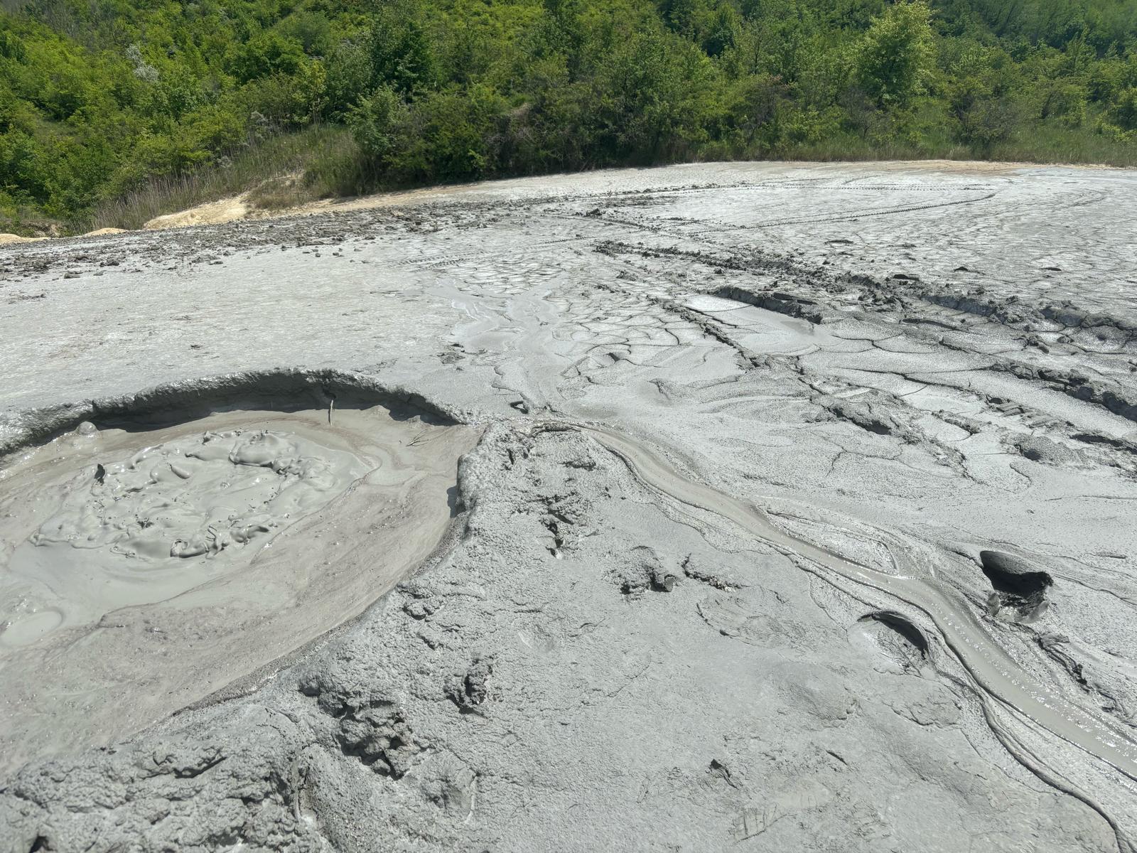 1989fb9bf7da55e8a16e52a22f1e7b9a-1