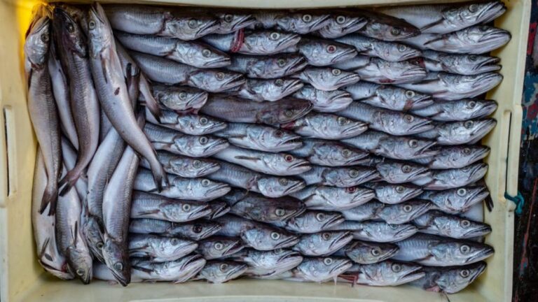 3b82d58ffd806f4798c2efcbf538215e-1