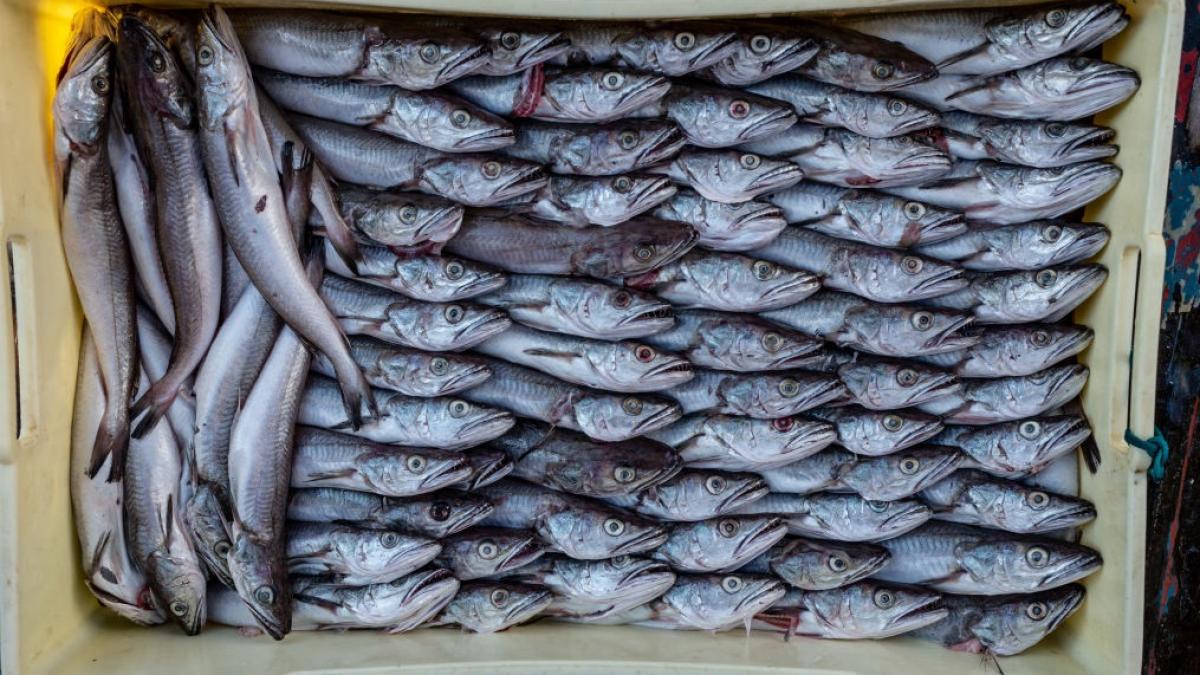 3b82d58ffd806f4798c2efcbf538215e-1