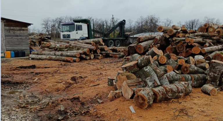 44a0a5a969359688849813cef31cd5d6