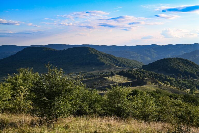 5ae7f38290fec6370305bf816b5910d3-1