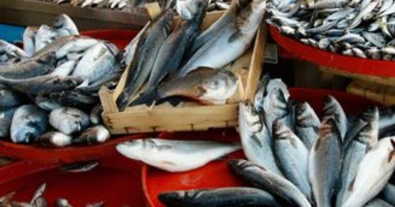 8d30becd50edc6afc74aefe83f87c9d0